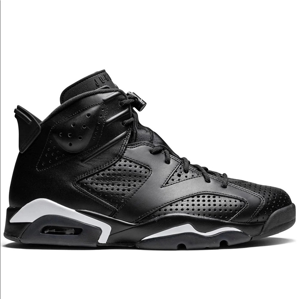 Jordan 6s